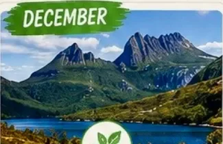 dec