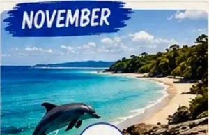 nov